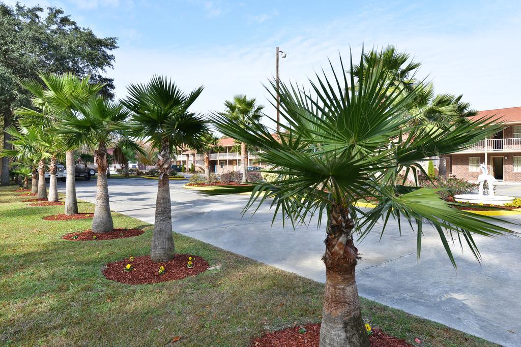 Savannah Inn And Suites Savannah Port Area Comodidades foto